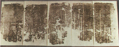 微信圖片_20200518171939.jpg